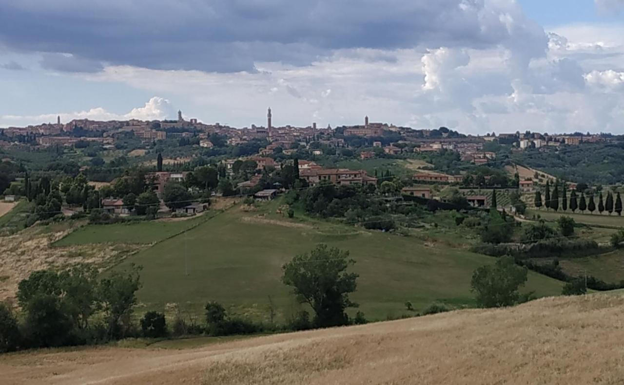 La Casa Nel Poggio 247 Vicino A Siena Apartment Ponte a Tressa Ngoại thất bức ảnh